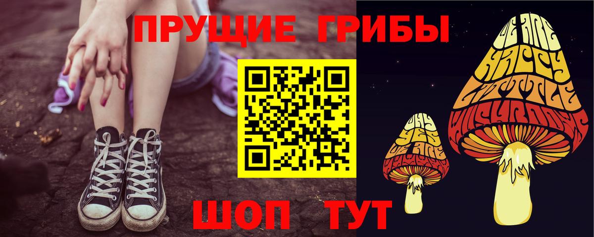 Абакан  Галлюциногенные грибы мицелий  купить закладку  Галлюциногенные грибы Psilocybine cubensis  Вход с VPN 